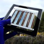 Perovskite Solar Cells